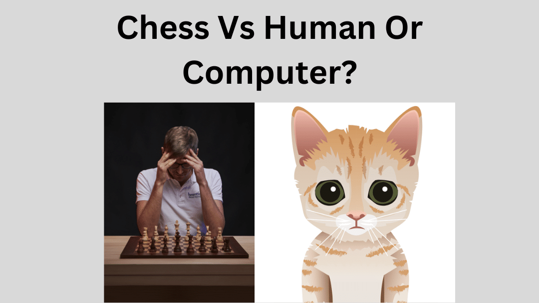 Should You Play Chess Against The Computer?