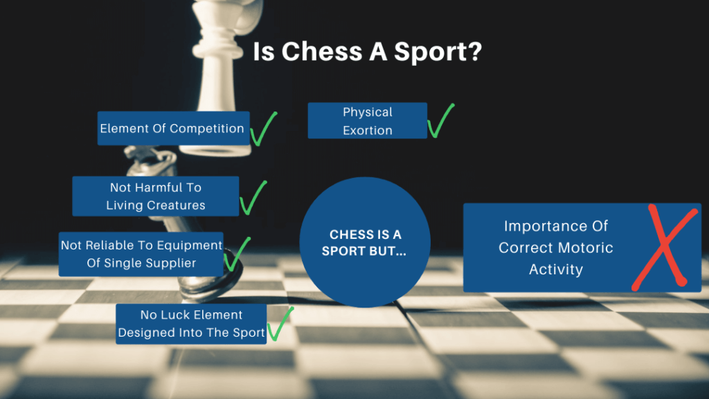 Do you think e-sport or chess should or should not be considered